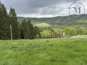 Prodej pozemku pro bydlení, Rožmberk nad Vltavou, 41251 m2