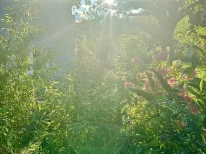 Prodej rodinného domu, Hrob, 80 m2