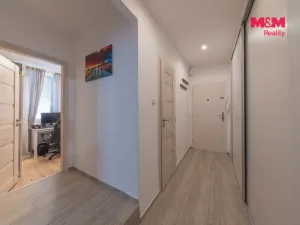 Prodej bytu 2+1, Havířov - Podlesí, 17. listopadu, 53 m2