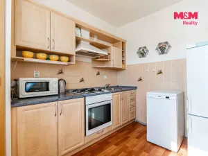 Prodej bytu 1+1, Ostrava - Výškovice, Srbská, 39 m2
