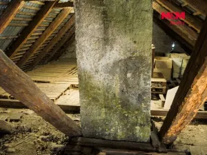 Prodej rodinného domu, Kostelec nad Černými lesy - Kostelec nad Černými Lesy, Pražská, 450 m2
