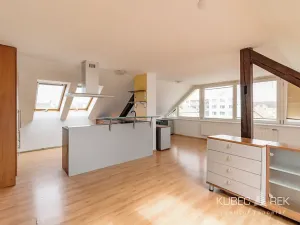 Pronájem bytu 2+kk, Tábor, Sezimova, 66 m2