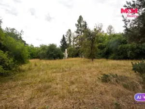 Prodej pozemku pro bydlení, Družec, 2828 m2