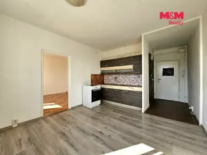 Pronájem bytu 1+1, Hodkovice nad Mohelkou, Podlesí, 36 m2