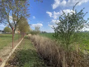 Prodej pozemku, Černčice, 3560 m2