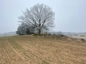 Prodej pole, Slatina, 13059 m2