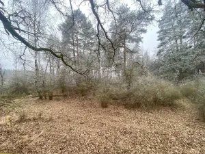 Prodej pole, Slatina, 13059 m2
