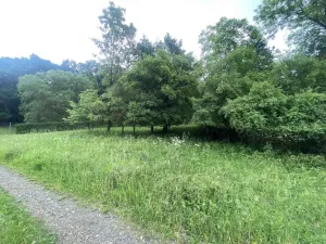 Prodej pozemku, Třebívlice - Skalice, 343 m2