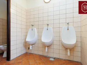 Prodej rodinného domu, Volfířov, 210 m2