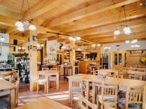 Prodej restaurace, Deštné v Orlických horách, 751 m2