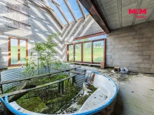 Prodej zemědělského objektu, Bor - Velká Ves, 627 m2