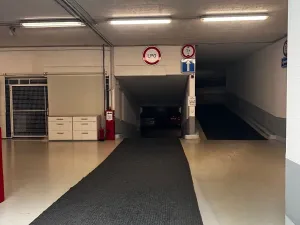 Pronájem bytu 3+kk, Praha - Vinohrady, Italská, 110 m2