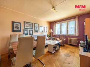 Prodej bytu 3+1, Plzeň - Jižní Předměstí, U Borského parku, 64 m2