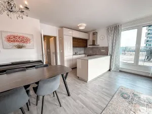 Pronájem bytu 3+kk, Praha - Žižkov, Olgy Havlové, 110 m2