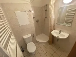 Pronájem bytu 1+kk, Praha - Žižkov, Budovcova, 30 m2