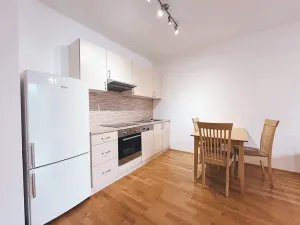 Pronájem bytu 1+kk, Praha - Žižkov, Malešická, 53 m2