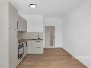 Pronájem bytu 1+kk, Milovice, 29 m2