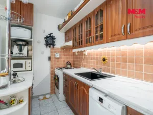Prodej bytu 3+1, Litoměřice - Předměstí, Kosmonautů, 67 m2