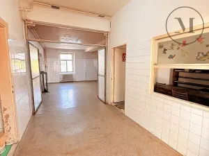 Pronájem výrobních prostor, Netolice, Mírové Náměstí, 500 m2