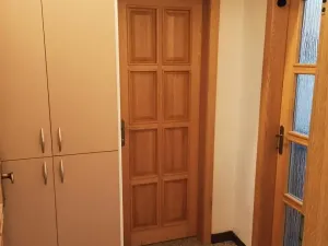Pronájem bytu 1+kk, Praha - Podolí, Pravá, 35 m2