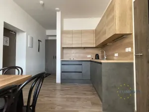 Prodej bytu 2+1, Loučná pod Klínovcem, 43 m2