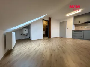 Pronájem bytu 1+kk, Klatovy - Luby, 24 m2