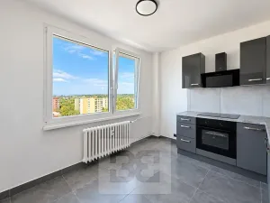 Pronájem bytu 1+1, Žatec, Havlíčkovo náměstí, 43 m2