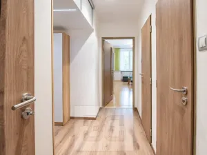 Pronájem bytu 3+kk, Plzeň, Francouzská třída, 52 m2