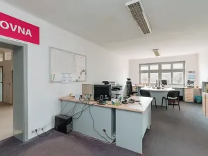 Prodej výrobních prostor, Ostrov, Krátká, 11439 m2