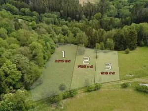 Prodej pozemku pro bydlení, Planá, 2215 m2