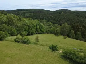 Prodej pozemku pro bydlení, Planá, 1435 m2