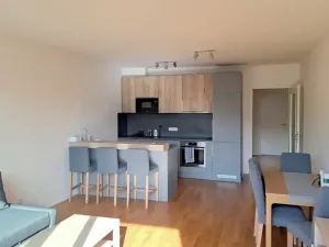 Pronájem bytu 3+kk, Praha - Žižkov, Krásova, 70 m2