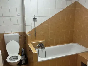 Prodej bytu 3+1, Javorník, Družstevní, 88 m2