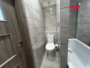 Pronájem bytu 2+1, Žatec, Růžová, 60 m2