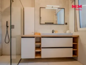Pronájem bytu 3+kk, Ostrava - Vítkovice, Závodní, 89 m2