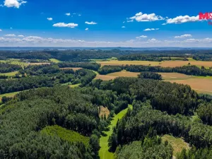 Prodej lesa, Bílá, 22447 m2