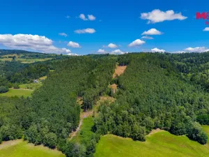 Prodej lesa, Bílá, 22447 m2