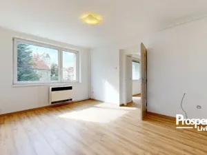 Prodej bytu 1+1, Teplice - Trnovany, Palackého, 36 m2