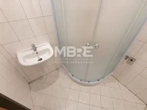 Pronájem bytu 2+1, Orlová - Lutyně, Masarykova třída, 55 m2