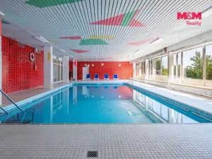 Prodej bytu 1+1, Příbram - Příbram II, Dlouhá, 31 m2