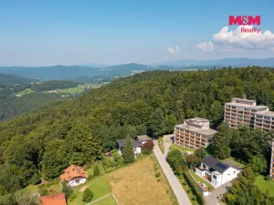 Prodej bytu 1+1, Příbram - Příbram II, Dlouhá, 31 m2
