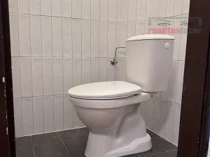 Pronájem bytu 1+1, Brno, Kotlářská, 49 m2