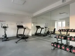 Pronájem bytu 2+kk, Praha - Vinohrady, Perucká, 40 m2