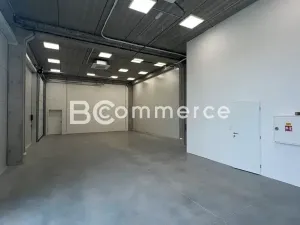 Pronájem skladu, Brno, 235 m2