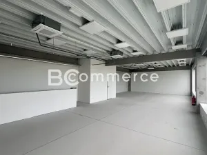 Pronájem skladu, Brno, 235 m2