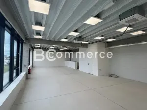 Pronájem skladu, Brno, 235 m2
