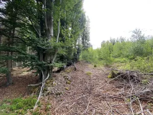 Prodej pozemku, Železná Ruda, 3072 m2
