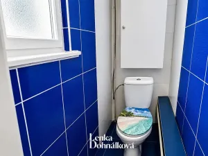 Prodej bytu 1+1, Hodonín, Nádražní řádek, 63 m2