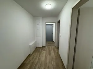 Pronájem bytu 2+kk, Nepomuk, Višňovka, 61 m2