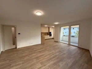 Pronájem bytu 3+kk, Nepomuk, Višňovka, 93 m2